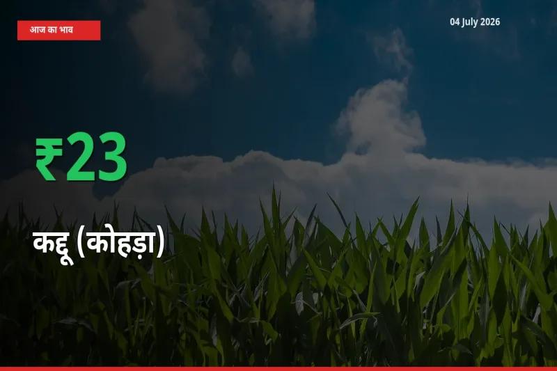 किसानों के लिए खुशखबरी! स्थानीय मंडी में कद्दू (कोहड़ा) 22.73% उछला
