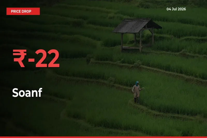 This Mandi Records 22.11% Fall in Soanf Prices