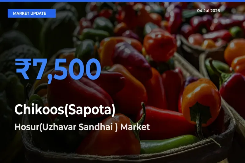 Hosur(Uzhavar Sandhai ) Tops Chikoos(Sapota) Rates – July 04 Market Update