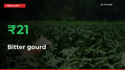 Bitter gourd Mandi Rate Today: Prices Jump 20.69% at Market