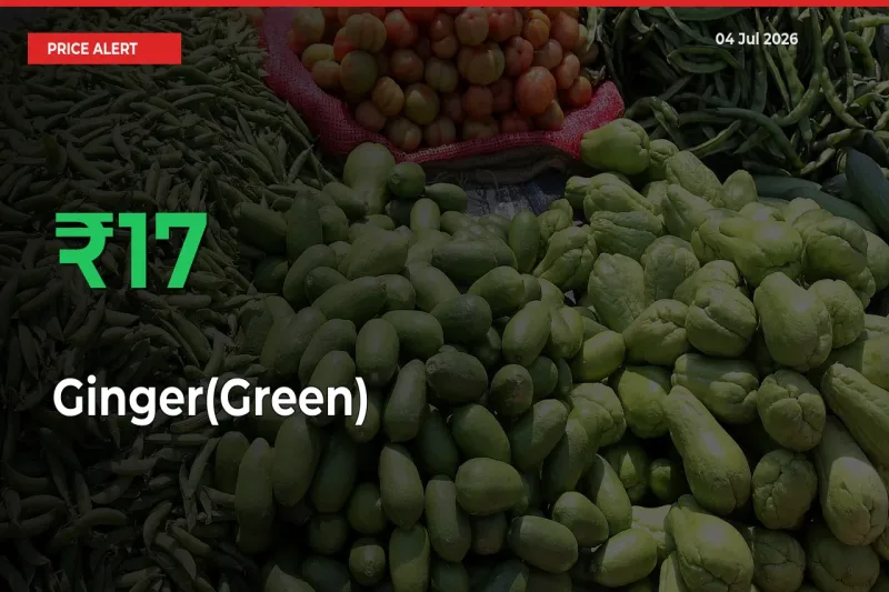 Ginger(Green) Mandi Rate Today: Prices Jump 17.01% at Market