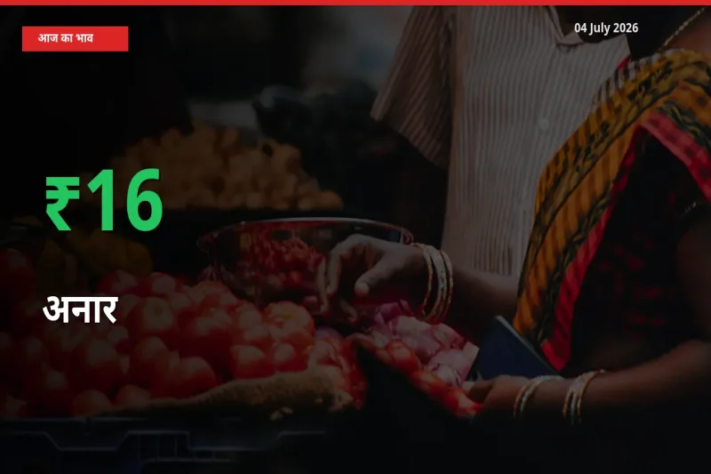 आज का मंडी भाव: अनार के दाम मंडी में 15.56% ऊपर