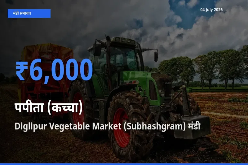 आज पपीता (कच्चा) के सबसे ज़्यादा दाम Diglipur Vegetable Market (Subhashgram) मंडी में दर्ज