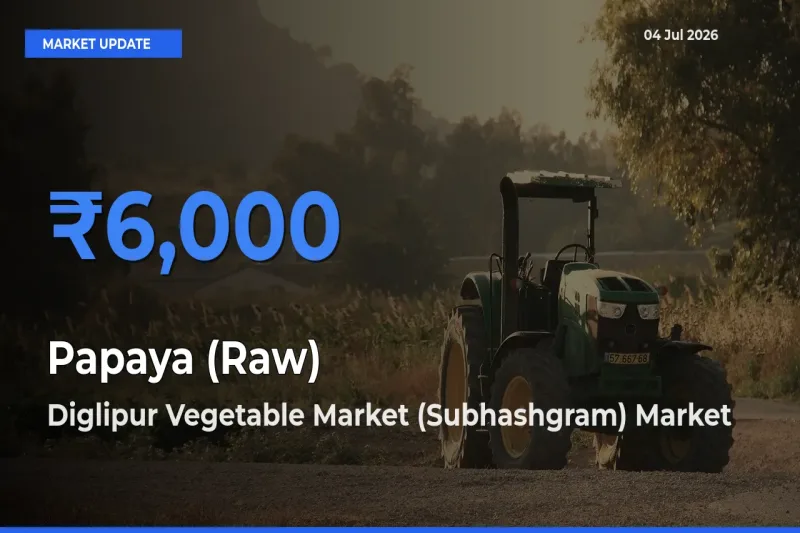Diglipur Vegetable Market (Subhashgram) Tops Papaya (Raw) Mandi Rates Today
