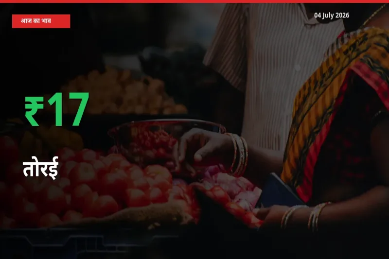 तेज़ तेजी! मंडी में तोरई के दाम 17.31% चढ़े