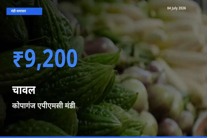 04 July अपडेट: चावल के सबसे ऊँचे दाम कोपागंज एपीएमसी मंडी में