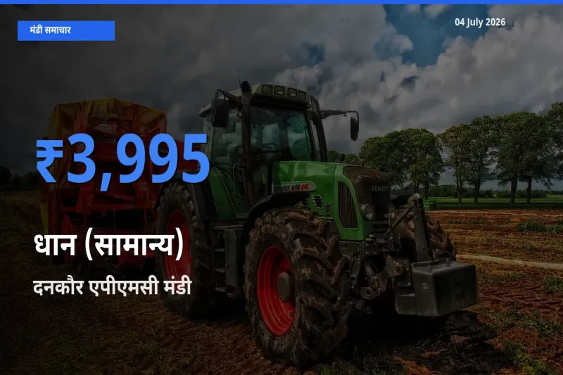 04 July अपडेट: धान (सामान्य) के सबसे ऊँचे दाम दनकौर एपीएमसी मंडी में
