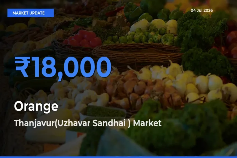 Thanjavur(Uzhavar Sandhai ) Leads as Top Mandi for Orange Prices