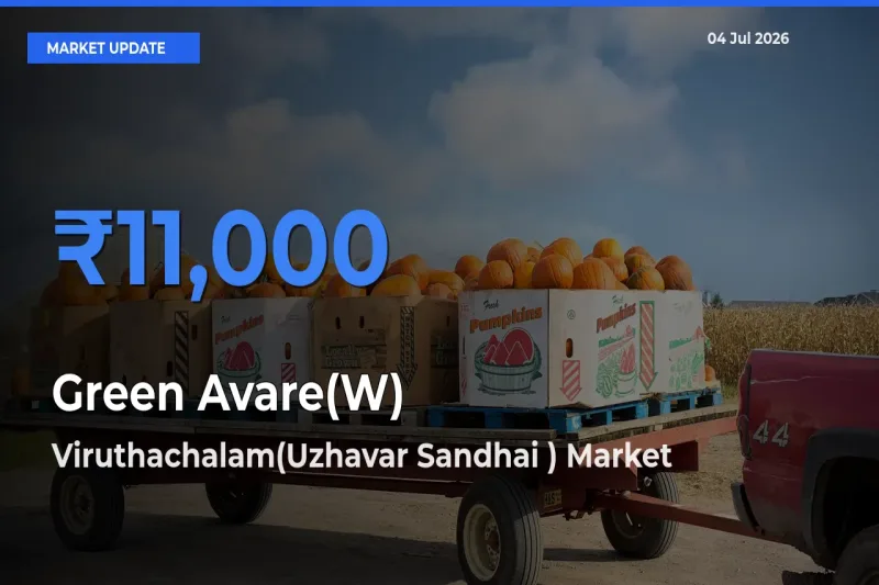 Viruthachalam(Uzhavar Sandhai ) Records Highest ₹11,000 Rate for Green Avare(W)