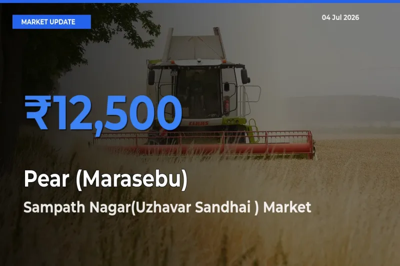 Sampath Nagar(Uzhavar Sandhai ) Tops Pear (Marasebu) Rates – July 04 Market Update