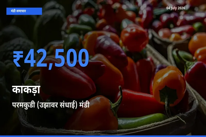 किसानों की पसंद बना परमकुडी (उझावर संधाई), काकड़ा के सबसे अच्छे दाम
