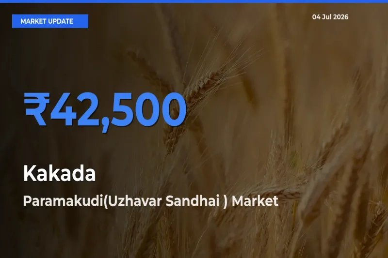 Market Watch: Paramakudi(Uzhavar Sandhai ) Becomes Top Mandi for Kakada