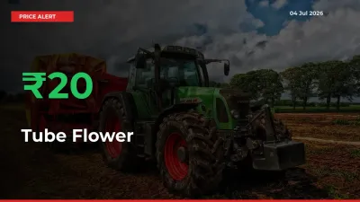 19.7% Spike in Tube Flower Prices – Mandi Sees Sudden Rally