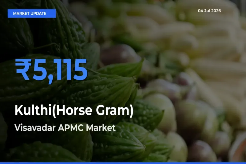 Visavadar APMC Emerges as Top Mandi for Kulthi(Horse Gram) Prices Today