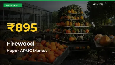 Firewood Price Rally Continues – Hapur APMC Hits Fresh High Today