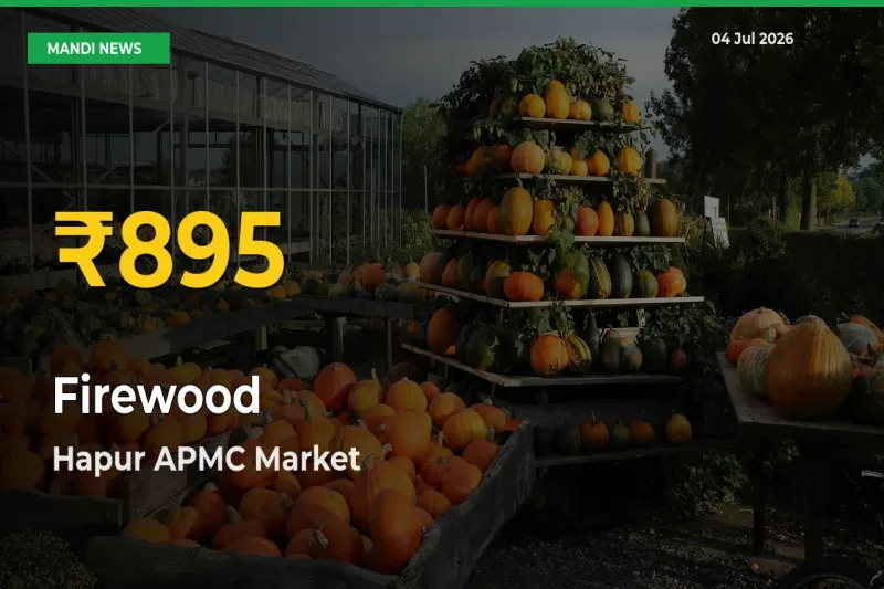 Firewood Price Rally Continues – Hapur APMC Hits Fresh High Today