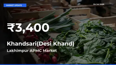 Khandsari(Desi Khand) Mandi Rate Today: 30-Day Low Recorded in Lakhimpur APMC