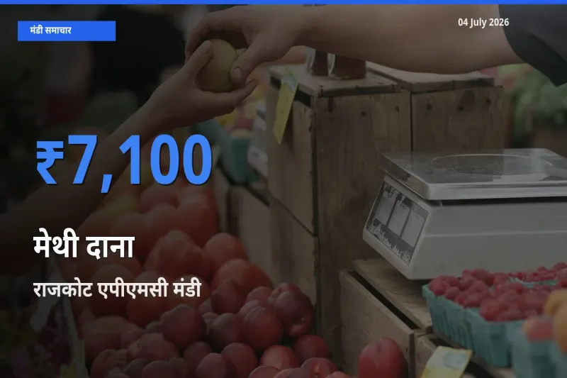 04 July अपडेट: मेथी दाना के सबसे ऊँचे दाम राजकोट एपीएमसी मंडी में