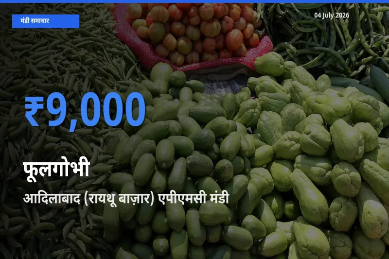आदिलाबाद (रायथू बाज़ार) एपीएमसी मंडी में फूलगोभी ₹9,000 पर पहुँचा – आज का सर्वोच्च भाव