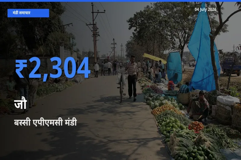 किसानों की पसंद बना बस्सी एपीएमसी, जौ के सबसे अच्छे दाम