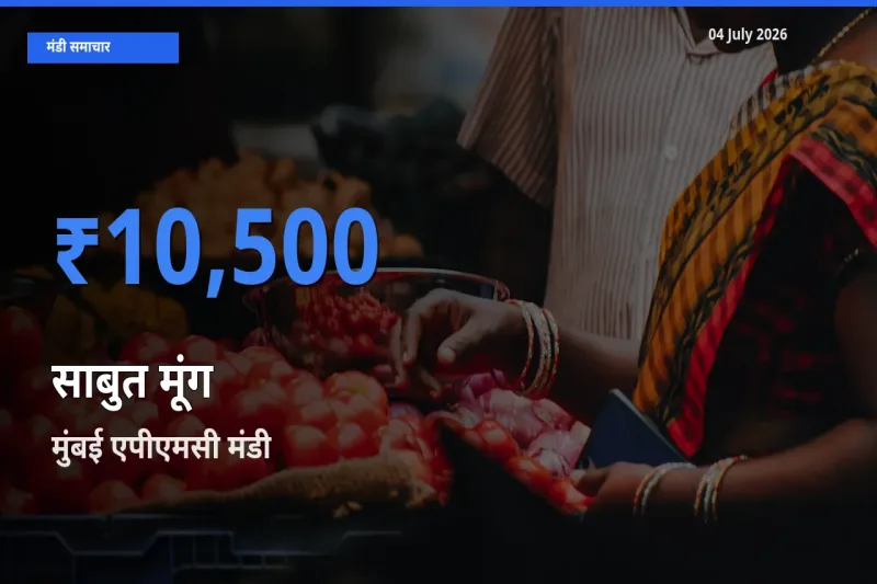 आज का मंडी भाव: साबुत मूंग के सबसे ज़्यादा दाम मुंबई एपीएमसी में