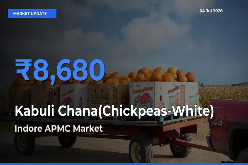 Indore APMC Emerges as Top Mandi for Kabuli Chana(Chickpeas-White) Prices Today
