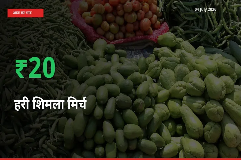 हरी शिमला मिर्च के दाम प्रमुख मंडी में 19.5% बढ़े, 24 घंटे में बड़ा बदलाव