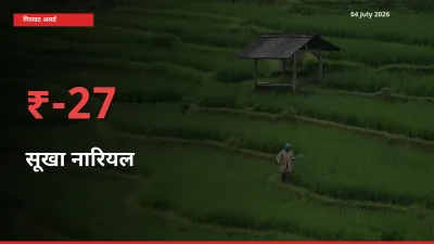 किसानों की चिंता बढ़ी! स्थानीय मंडी में सूखा नारियल 27.24% गिरा