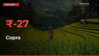 This Mandi Records 27.24% Fall in Copra Prices