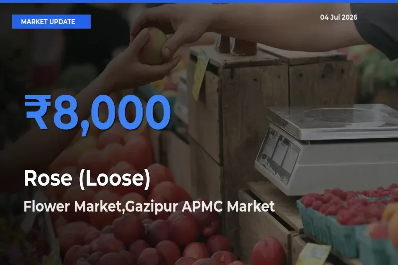 Farmers Prefer Flower Market,Gazipur APMC as Rose (Loose) Hits Highest Rate
