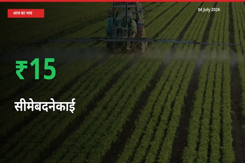 बाज़ार संकेत: सीमेबदनेकाई के भाव मंडी में 15.38% ऊपर