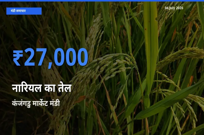 कंजंगडु मार्केट मंडी में आज नारियल का तेल के सबसे ऊँचे दाम दर्ज