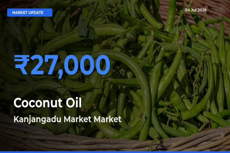 Kanjangadu Market Leads as Top Mandi for Coconut Oil Prices