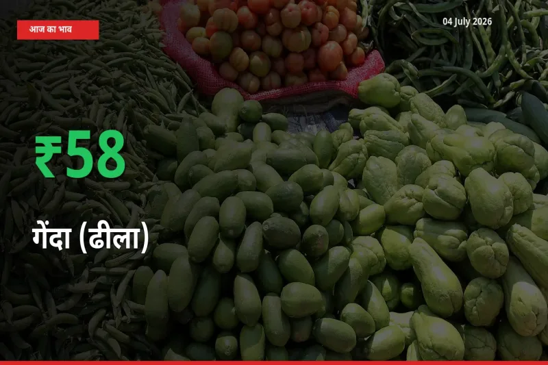 किसानों के लिए खुशखबरी! स्थानीय मंडी में गेंदा (ढीला) 58.33% उछला