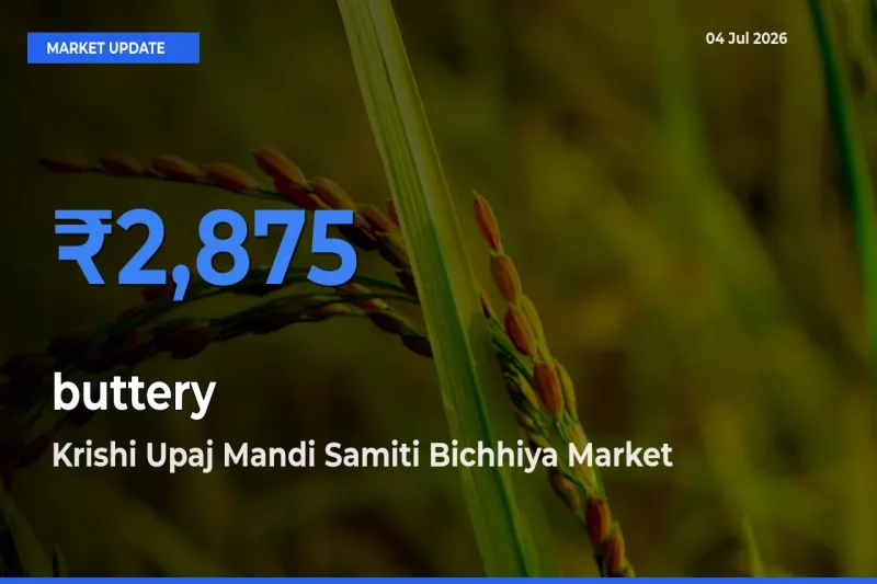 buttery Mandi Rate Today: Krishi Upaj Mandi Samiti Bichhiya Tops the List