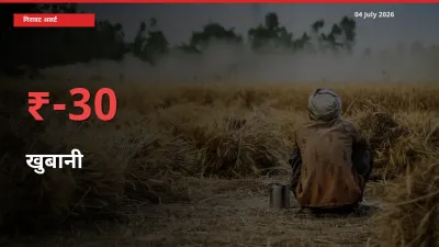 बाज़ार संकेत: खुबानी के भाव मंडी में 29.62% नीचे