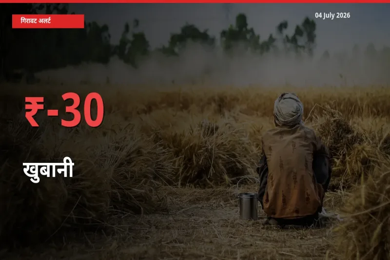 बाज़ार संकेत: खुबानी के भाव मंडी में 29.62% नीचे