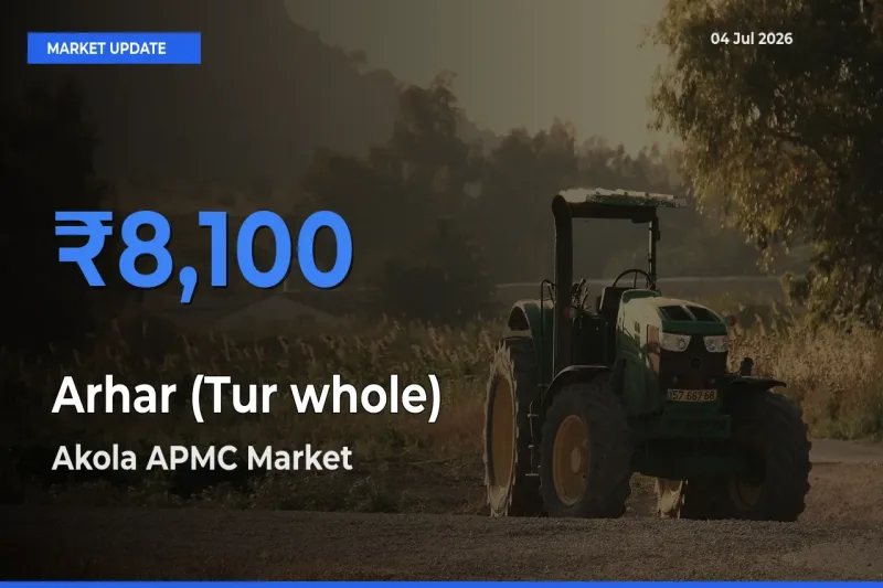 Akola APMC Tops Arhar (Tur whole) Mandi Rates Today