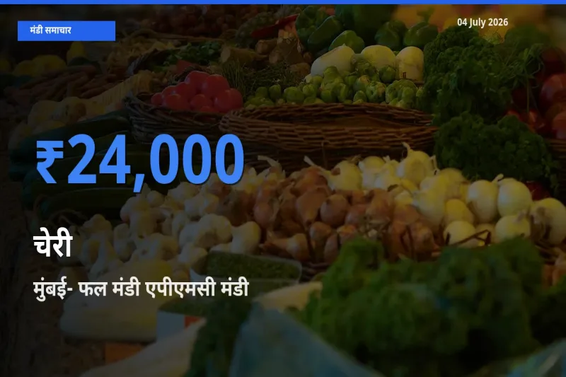 मुंबई- फल मंडी एपीएमसी मंडी में चेरी ₹24,000 पर पहुँचा – आज का सर्वोच्च भाव