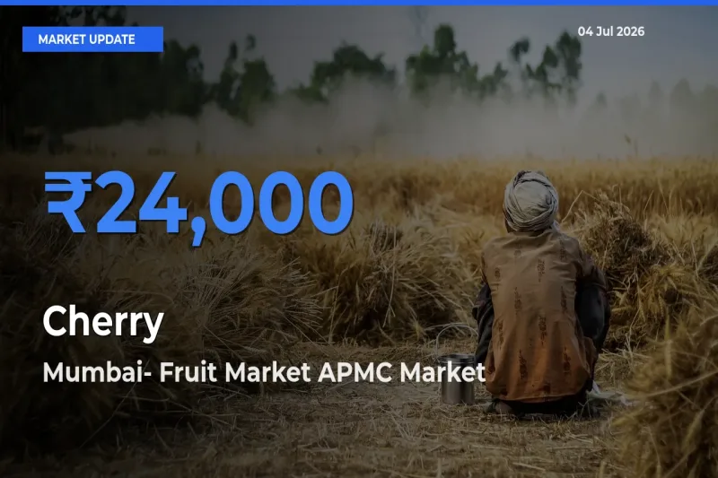 Mumbai- Fruit Market APMC Leads as Top Mandi for Cherry Prices