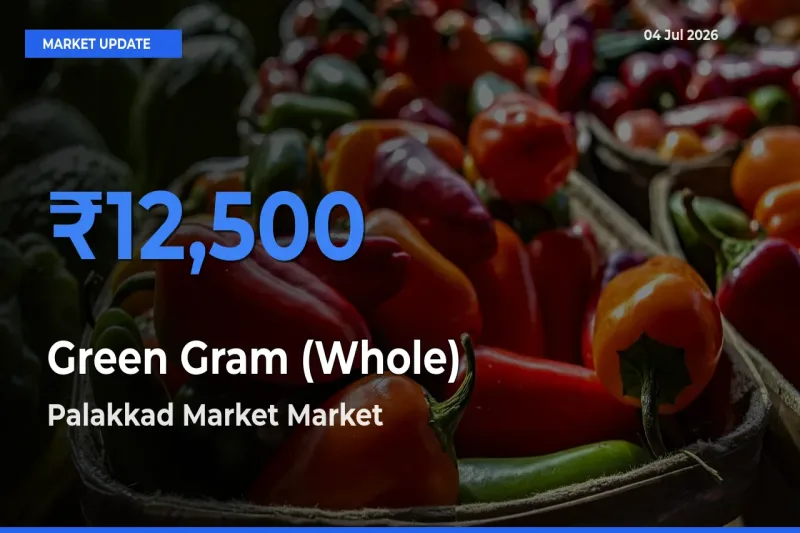 Palakkad Market Leads as Top Mandi for Green Gram (Whole) Prices