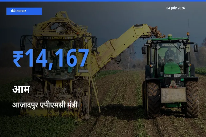 आज़ादपुर एपीएमसी मंडी में आज आम के सबसे ऊँचे दाम दर्ज