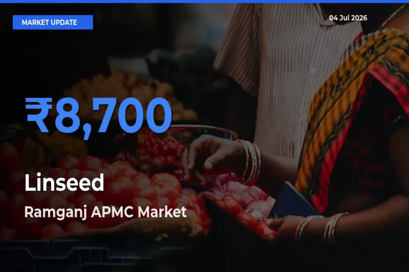 Ramganj APMC Tops Linseed Rates – July 04 Market Update