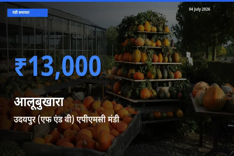 आज का मंडी भाव: आलूबुखारा के सबसे ज़्यादा दाम उदयपुर (एफ एंड वी) एपीएमसी में