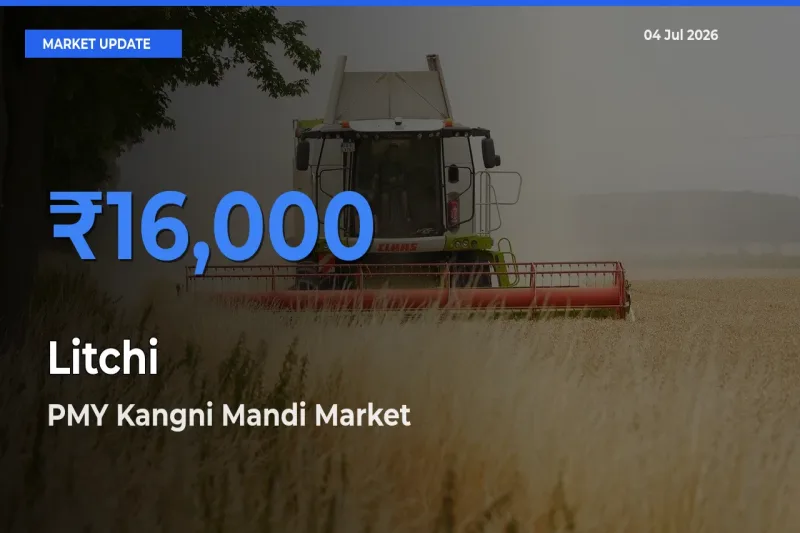 Market Watch: PMY Kangni Mandi Becomes Top Mandi for Litchi