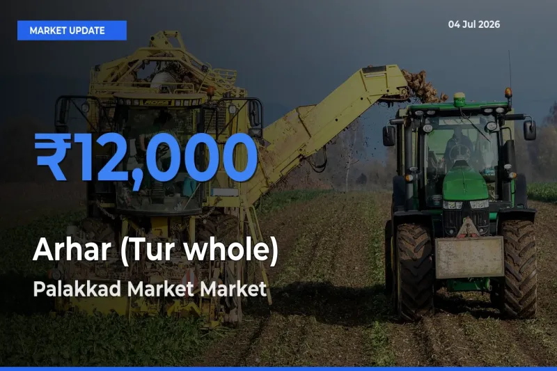 Farmers Prefer Palakkad Market as Arhar (Tur whole) Hits Highest Rate