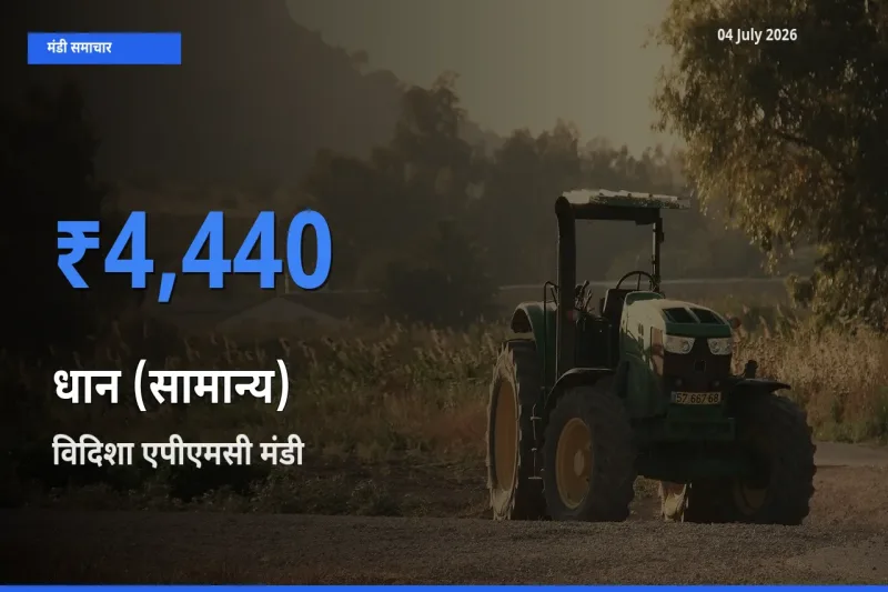 बाज़ार संकेत: विदिशा एपीएमसी बना धान (सामान्य) के लिए आज की टॉप मंडी