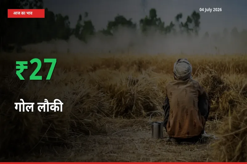 आज का मंडी भाव: गोल लौकी के दाम मंडी में 27.25% ऊपर
