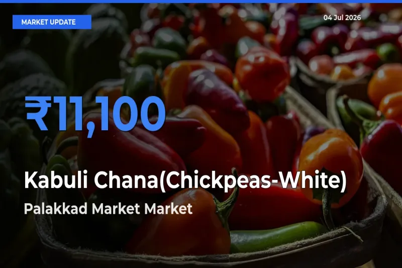 Palakkad Market Tops Kabuli Chana(Chickpeas-White) Mandi Rates Today