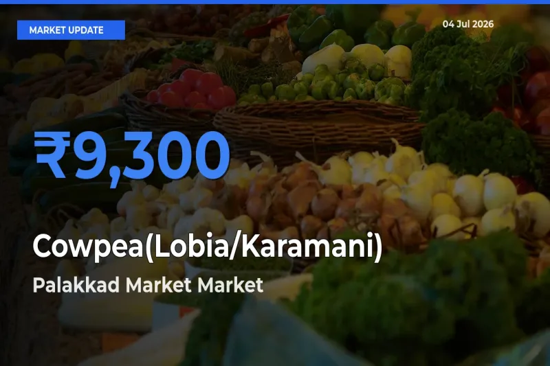 Palakkad Market Tops Cowpea(Lobia/Karamani) Mandi Rates Today